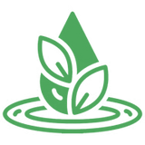 Whole Leaf