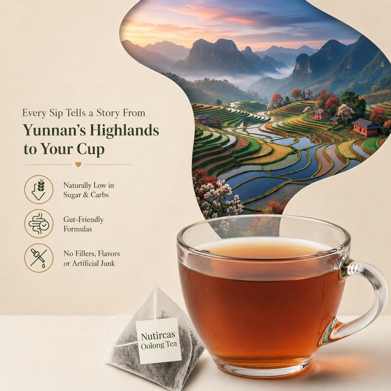 Nutricas™ Oolong Tea